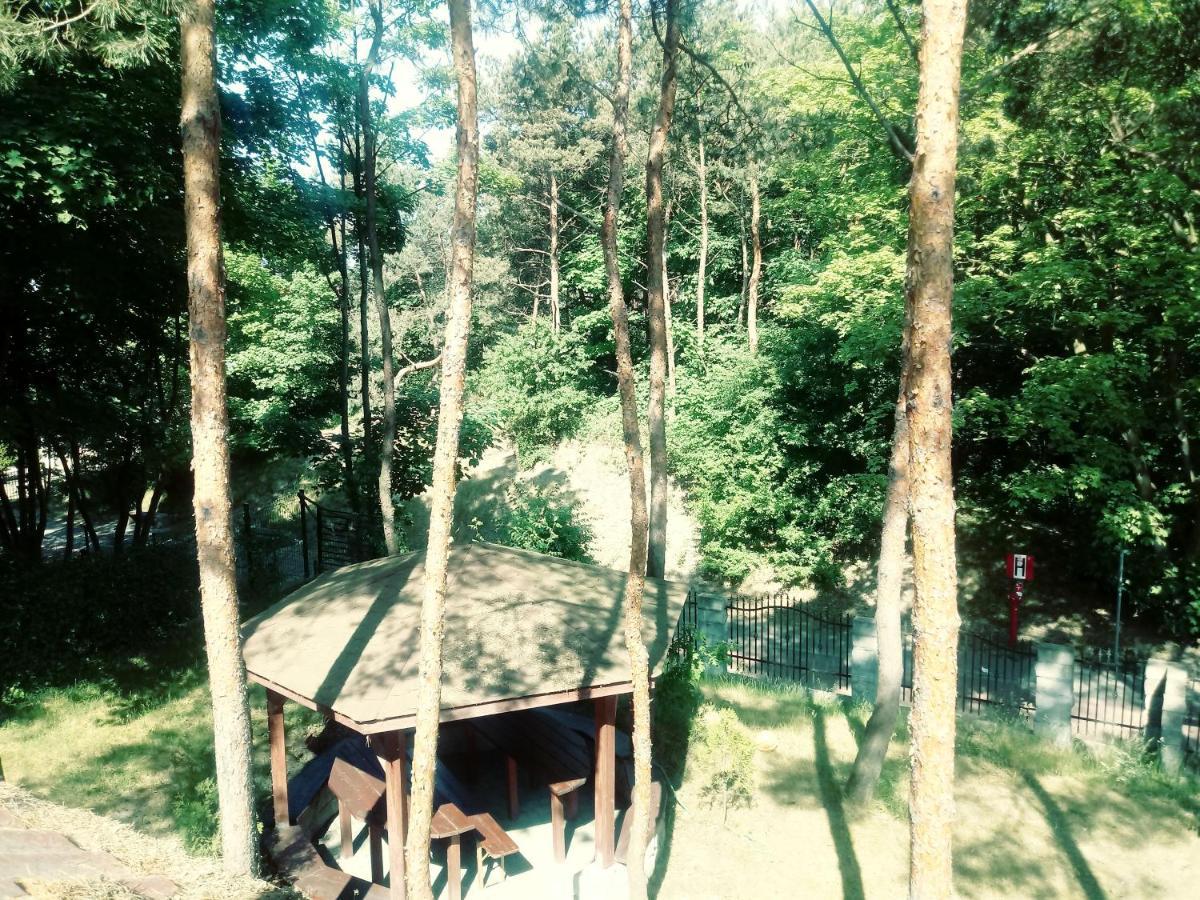 Dom Na Wzgorzu Lägenhet Jastarnia Exteriör bild